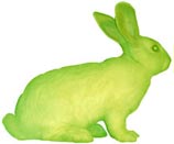 Eduardo Kac, GFP Bunny, 2000